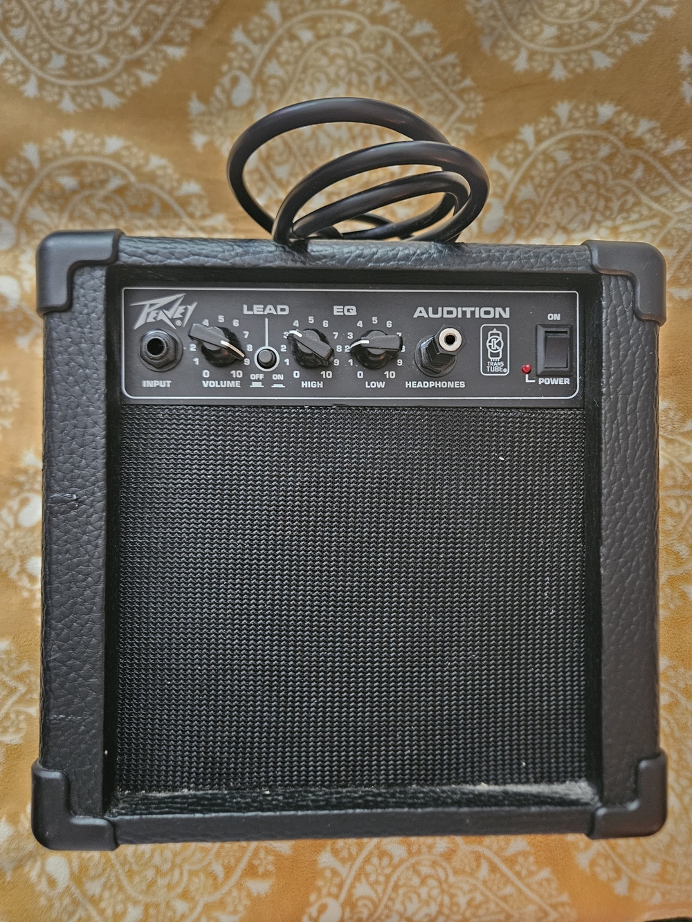 Peavey Guitar Amplifier (9x9.5)